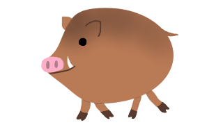 猪のイラスト
