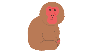 猿のイラスト